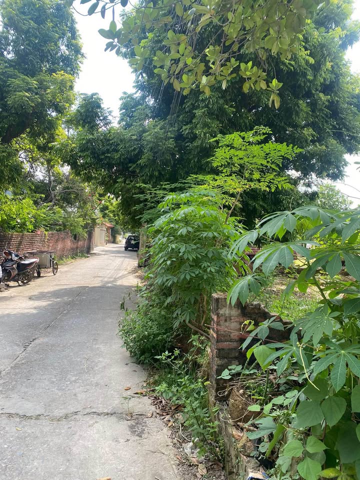 Đất nền Vĩnh Phú, Phật Tích 100m² giá 3 tỷ - Vị trí đắc địa sát KCN Saigon Ten