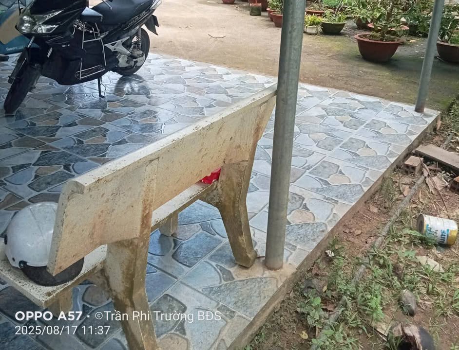 Đất Phú Mỹ Mỏ Cày Bắc 2000m² giá 1.5 tỷ - Cơ hội đầu tư tuyệt vời!