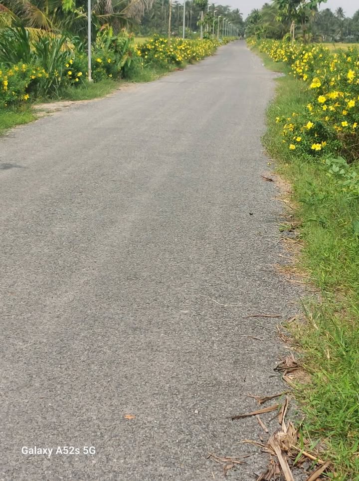 Đất nền 129m² xã Tân Long Hội, Vĩnh Long giá 320 triệu - Đầu tư sinh lời ngay!