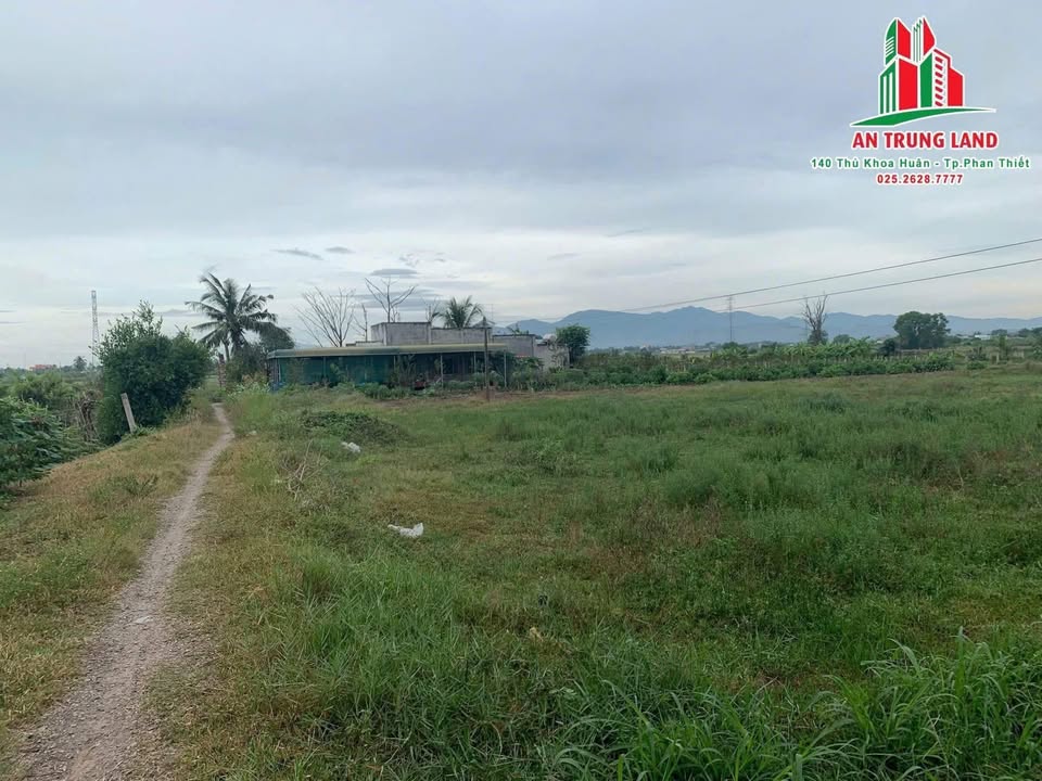 Lô đất CLN thôn Bình An, xã Hàm Chính, 3793m² giá 1.4 tỷ - Cơ hội đầu tư tuyệt vời!