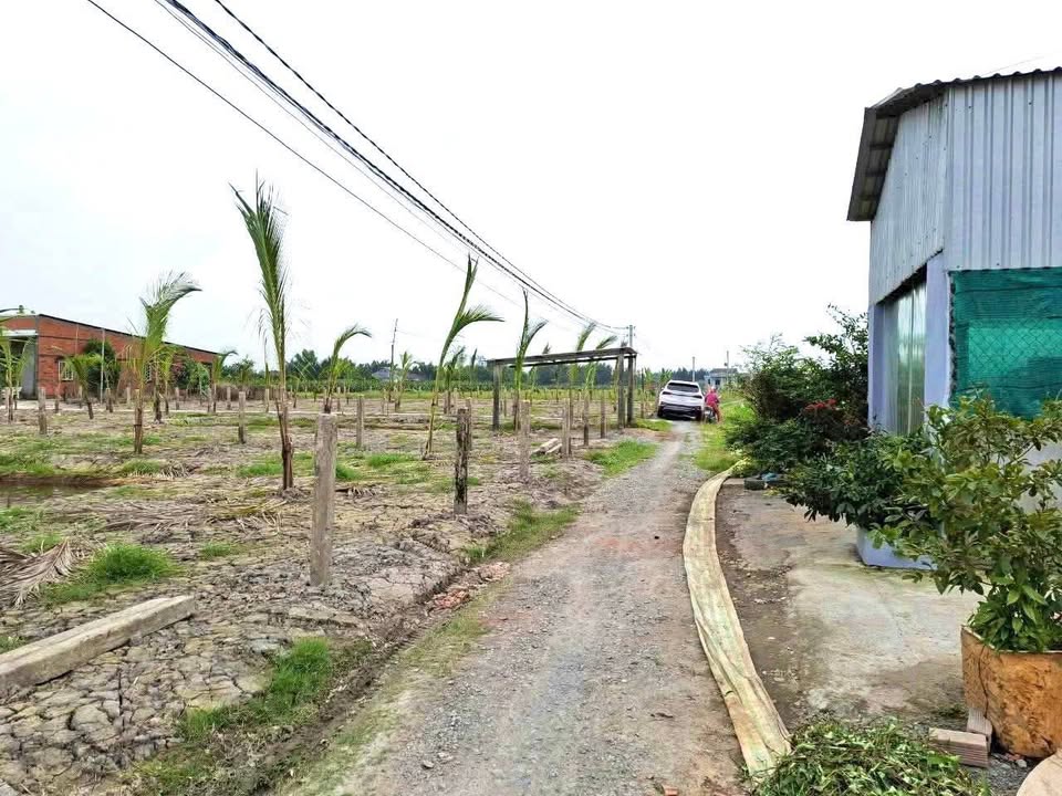 Đất nền 1000m² tại Thanh Phú Long, Châu Thành - Giá chỉ 450 triệu VND!