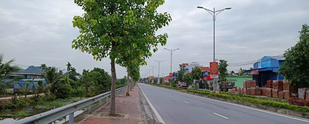 Đất mặt đường Bạch Đằng, Thủy Nguyên 160m² chỉ 1.92 tỷ - Cơ hội đầu tư sinh lời!