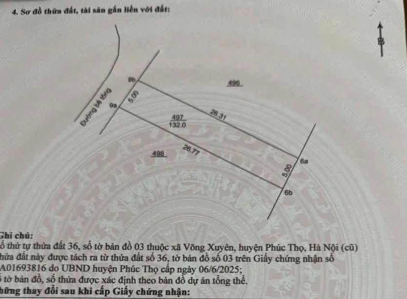 Đất 132m² Võng Xuyên, Phúc Thọ - Đường ô tô vào tận nhà, giá chỉ 2x triệu/m²!