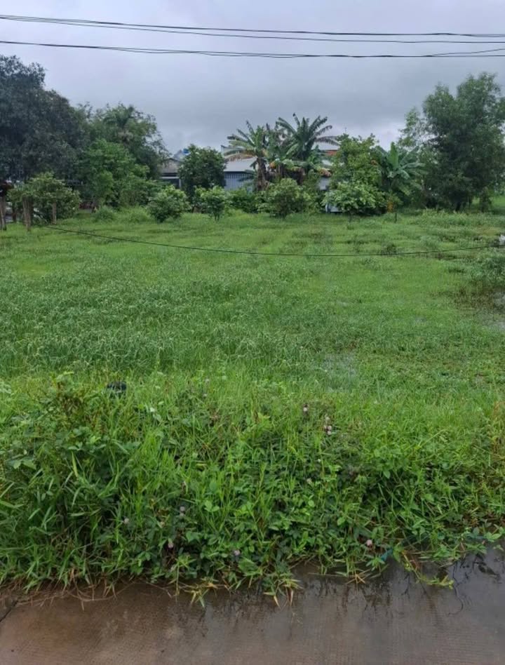 Đất thổ cư mặt tiền đường Bê Tông Mỹ Hạnh Nam 125m² giá 1.1 tỷ - Cơ hội đầu tư hấp dẫn!