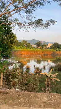 Đất thổ cư Nông Tiến Tuyên Quang 114m² giá 1 tỷ - Sổ đỏ chính chủ