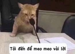 Căn hộ cho thuê Vinhomes Smart City, Tây Mỗ, Nam Từ Liêm - Giá từ 11.5 triệu, vào ở ngay!