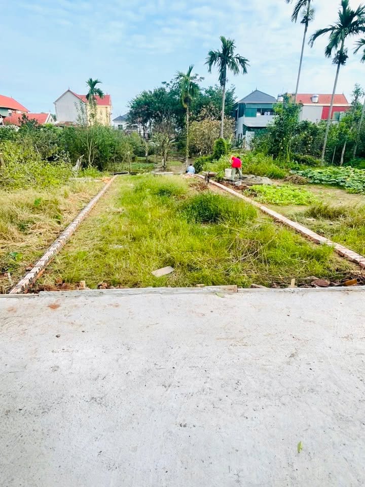 Đất Hát Môn 85m² giá 2 tỷ - Khu vực phát triển sôi động!