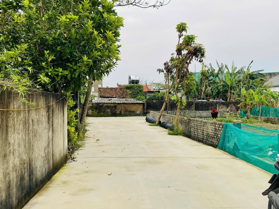 Bán lô đất xóm Hồng Liên, phường Nghi Liên, Vinh 101,5m² giá 1,83 tỷ - Đường rộng, vị trí thuận lợi!
