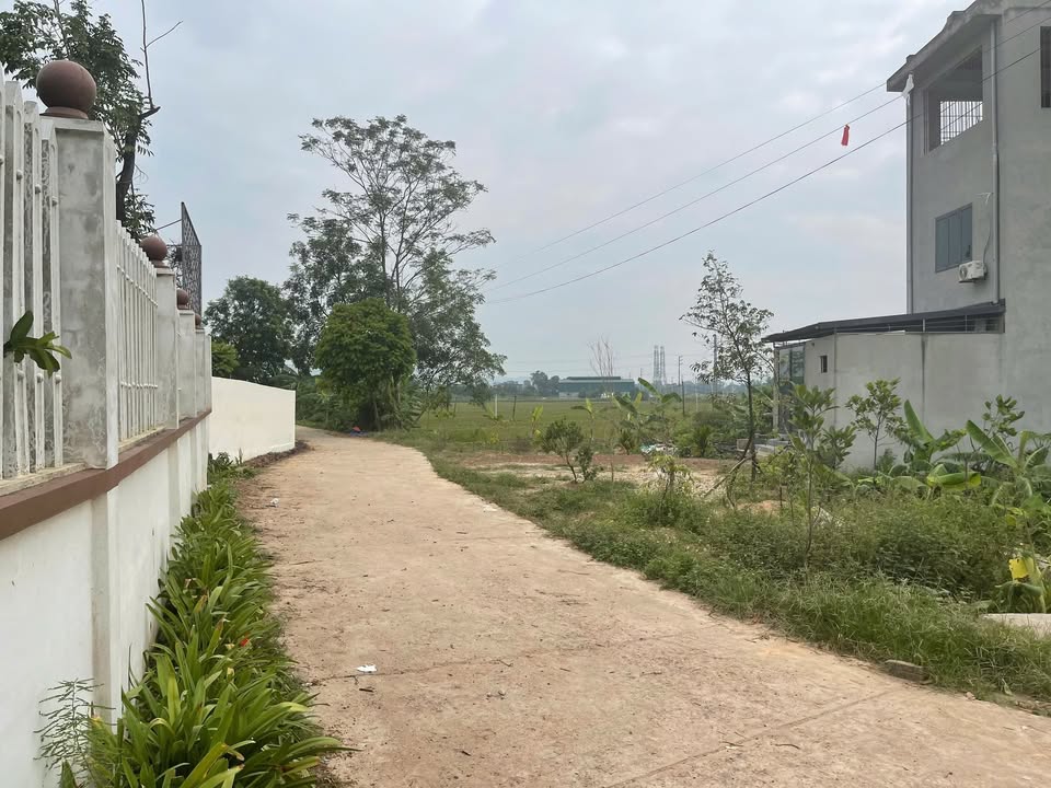 Đất nền Kim Long, Tam Dương, Vĩnh Phúc 560m² giá 4.2 tỷ - Đầu tư sinh lời ngay!