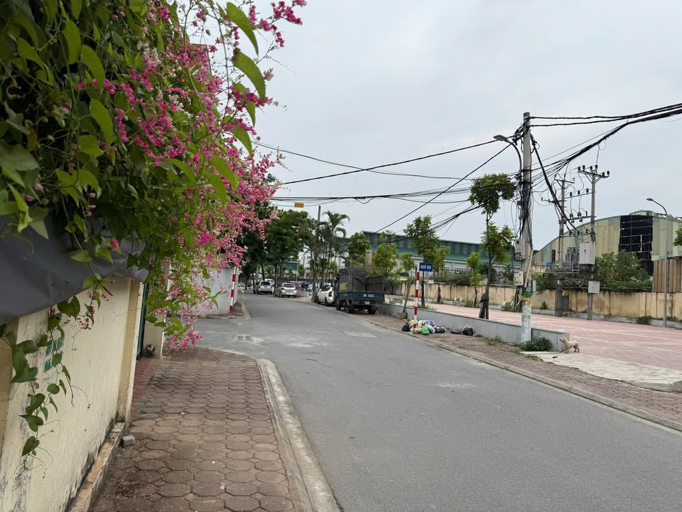 Đất Đình Xuyên Gia Lâm 85m² giá 6.8 tỷ - Ô tô tránh, gần trường học