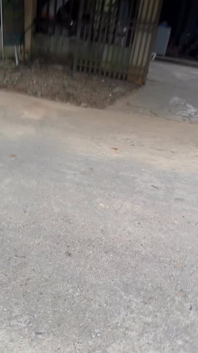 Đất nền mặt QL 70B, Thanh Thủy, 700m² - Vị trí đắc địa, không có điểm trừ!