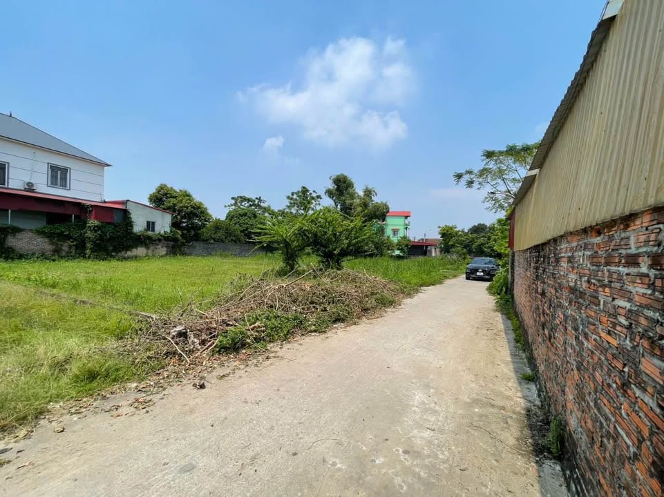 Đất nền Tự Lạn, Việt Yên 125m² giá 1 tỷ - Cơ hội đầu tư sinh lời cao!