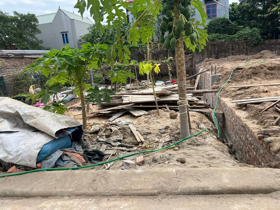 Đất nền Mai Đình 75.5m² giá 3 tỷ - Vị trí đắc địa cho kinh doanh!