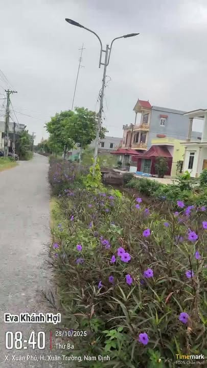 Đất nền Xuân Phú Xuân Trường 115m² giá 1 tỷ - Hướng Đông mát mẻ!