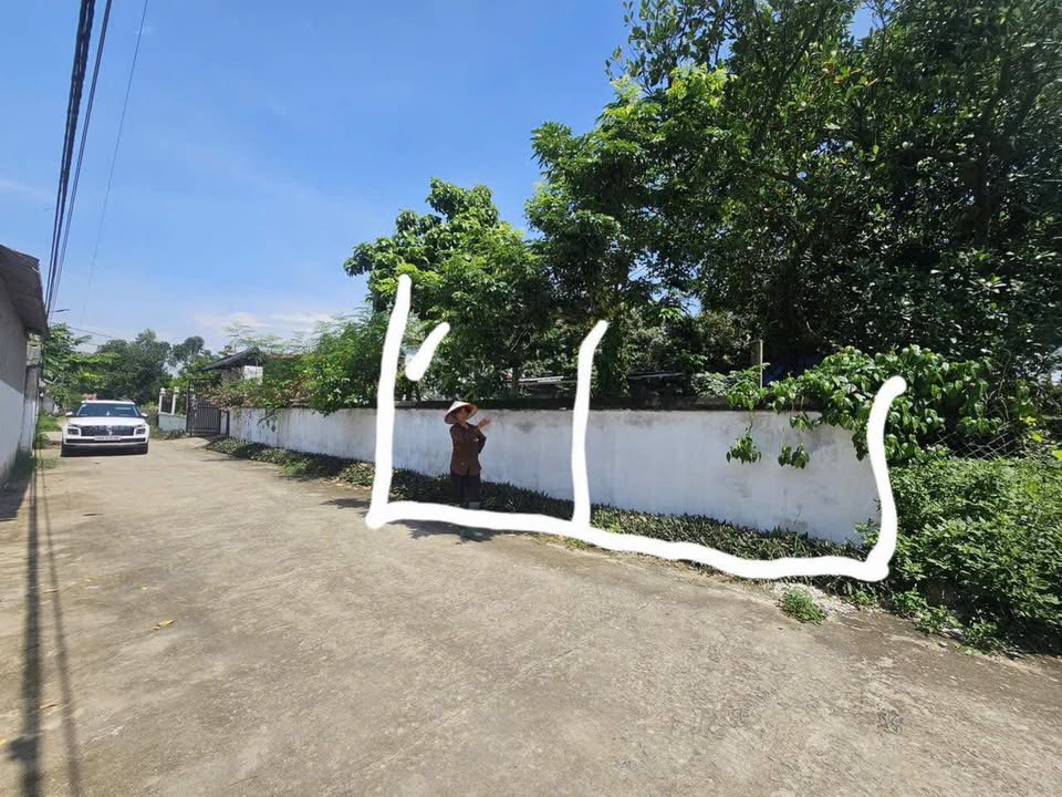 Đất nền Thanh Vân, Tam Dương 100m² giá 700 triệu - Đầu tư sinh lời ngay!