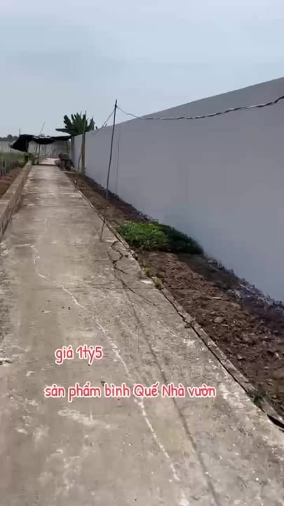 Nhà vườn 1000m² tại Bình Quế - Giá 1.5 tỷ - Thiên đường yên bình chờ bạn!