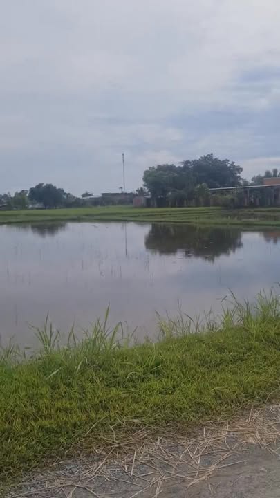 Bán lô đất tại Đức Hòa, Long An 4830m² giá 4 tỷ - Mặt tiền đường Đá Xanh 7m