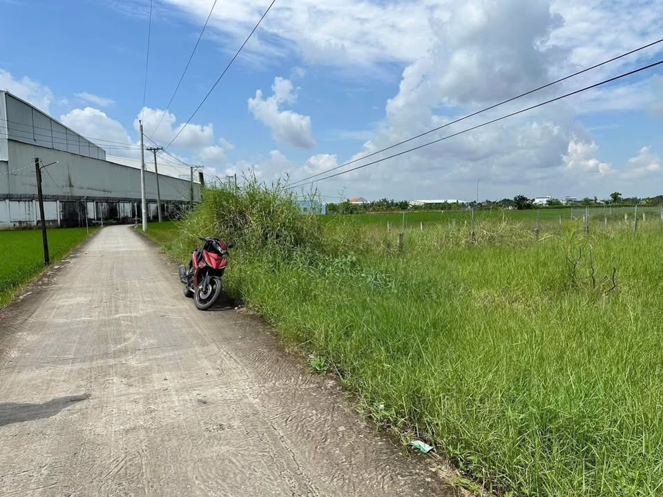 Đất nền 125m² đường Nguyễn Văn Thọ, Tân Trụ, Long An - Giá chỉ 650 triệu, đầu tư sinh lời!