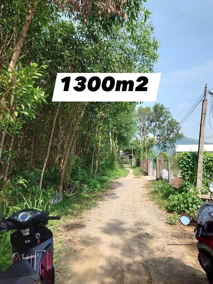 Đất thổ cư Nhơn Tân An Nhơn 1300m² giá 800 triệu - Cơ hội đầu tư tuyệt vời!