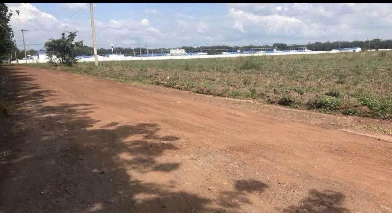 Đất nền Lộc Thành, Lộc Ninh 1000m² giá chỉ 210 triệu - Đầu tư sinh lời ngay!