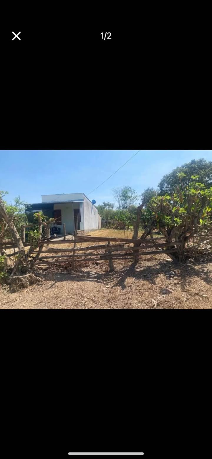 Đất thổ cư Đăk Cấm 250m² giá chỉ 5xx triệu - Vị trí đẹp, thuận lợi!