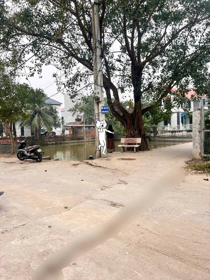 Đất nền Thanh Oai 45m² giá 3 tỷ - Mặt tiền 7m, ô tô vào tận nơi!