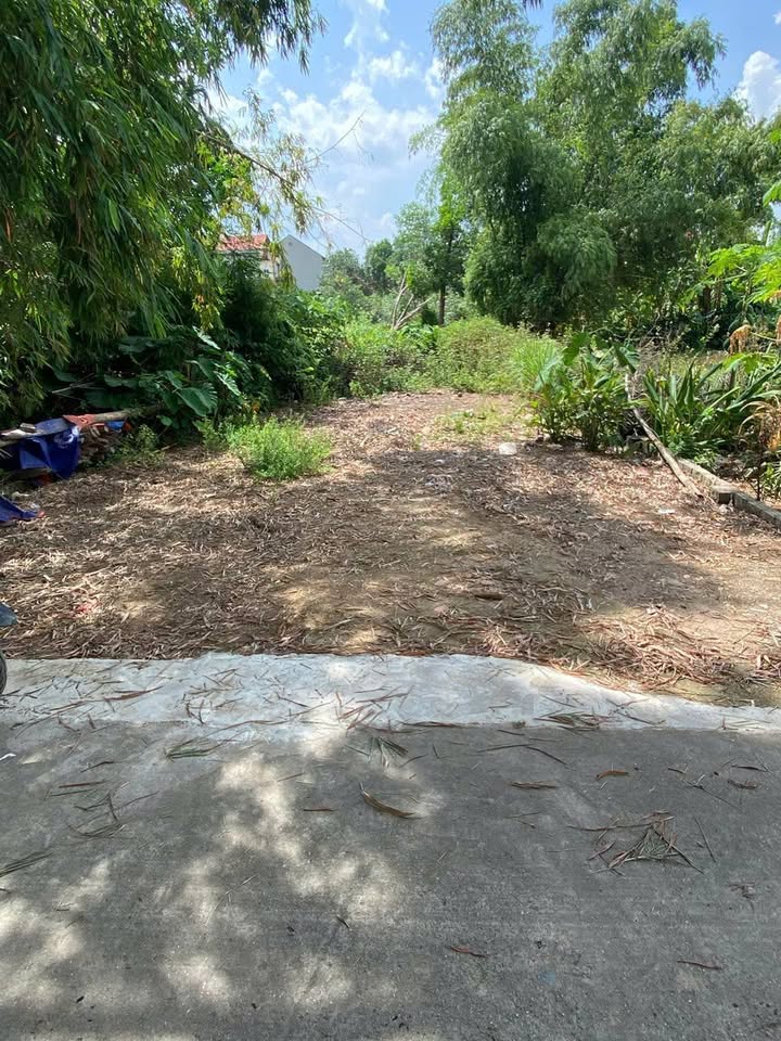 Đất nền Minh Trí Sóc Sơn 88m² giá 1 tỷ - Ô tô vào tận đất, tiềm năng tăng giá lớn!