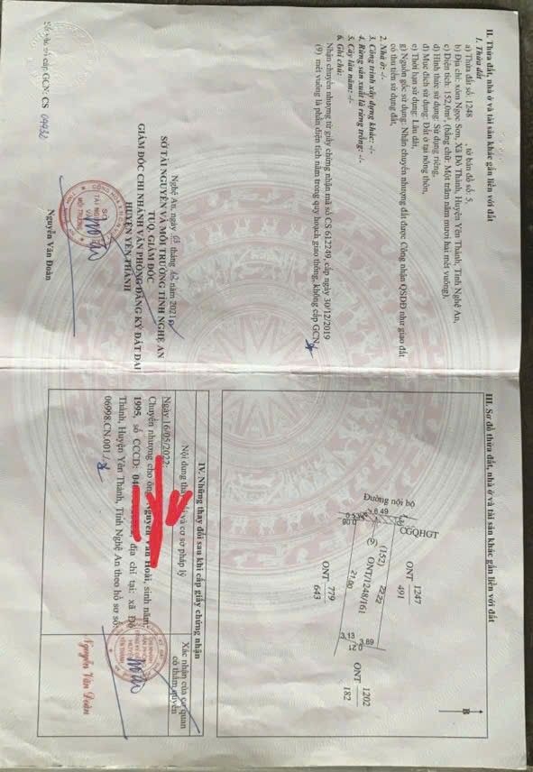 Đất nền Xóm Ngọc Sơn, xã Đô Thành, 164.78m² giá 1 tỷ - Cơ hội đầu tư hấp dẫn!