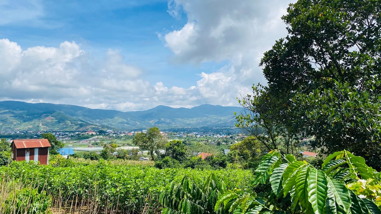 Đất nền Chi Lăng, Nam Ban, Lâm Hà 1047m² giá 1.3 tỷ - Đầu tư lý tưởng!