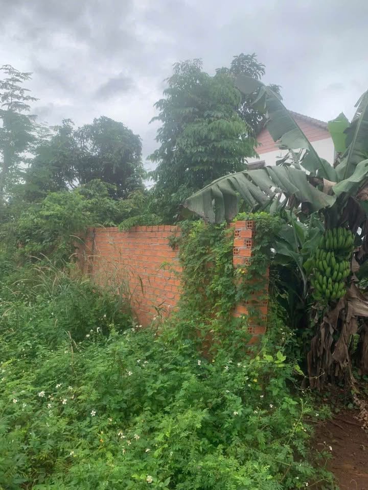 Lô đất thổ cư Thôn 6, Cư Êbur 293m² giá 2.7 tỷ - Tiềm năng đầu tư cao!