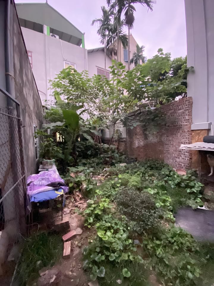 Đất Dương Nội 50m² giá 6 tỷ - Sổ đỏ chính chủ, đầu tư sinh lời!