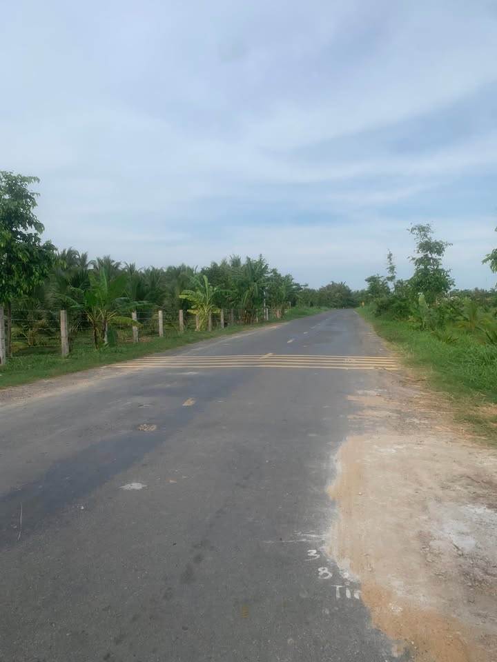 Đất thổ cư mặt tiền tỉnh lộ 883 tại xã Mỹ Hoà, Bến Tre - 2965m² chỉ 630 triệu!