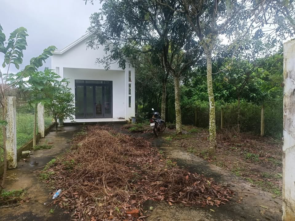 Đất Farm An Long, Phú Giáo 1ha giá 3 tỷ - Phù hợp nghỉ dưỡng và vui chơi!