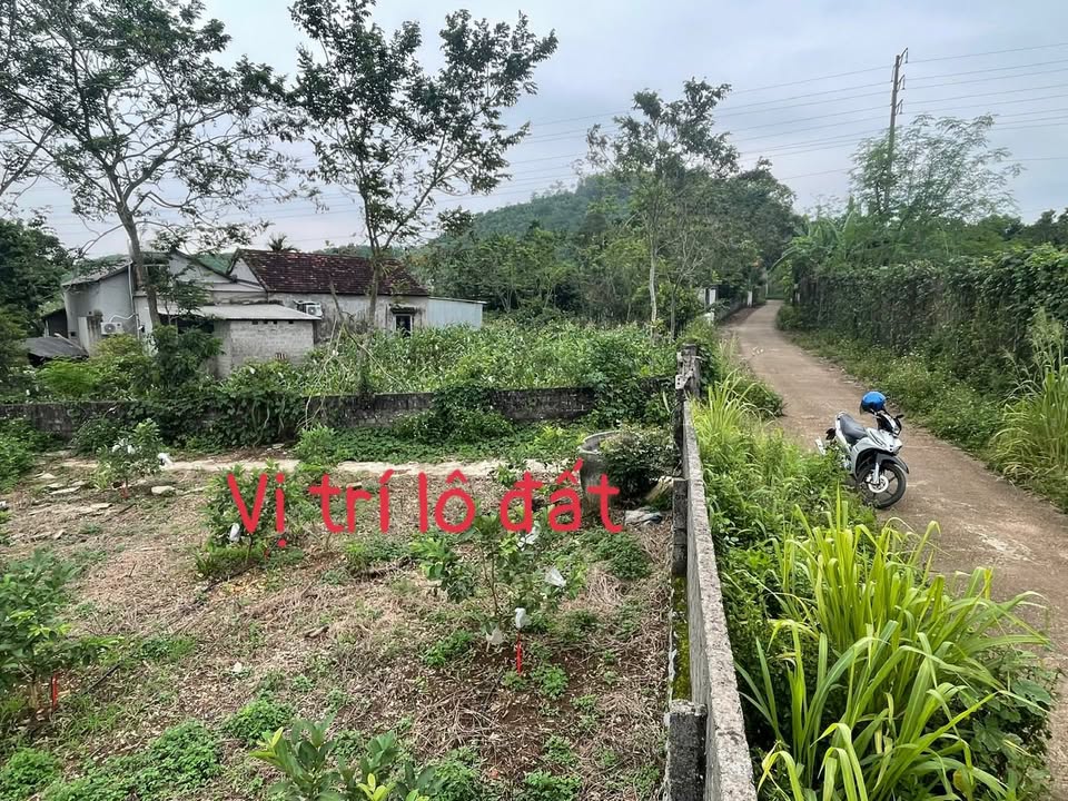 Đất thổ cư Nghĩa Sơn, Nghĩa Đàn 360m² giá 300 triệu - Cơ hội đầu tư tuyệt vời!