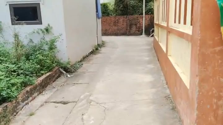 Đất nền thổ cư 84m² tại thôn Yên Vinh, Mê Linh chỉ 3 tỷ - Tiềm năng đầu tư vượt trội!