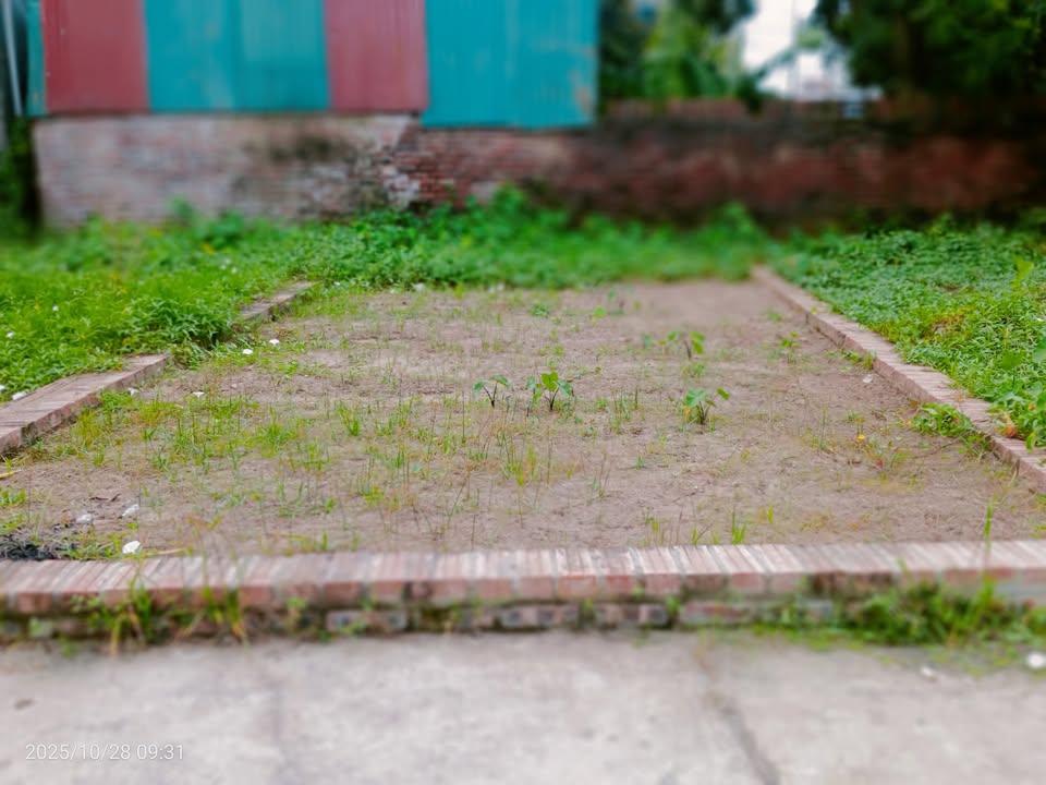 Lô đất Đình Trung Xuân Nộn 43m² giá 3 tỷ - Đầu tư sinh lời lý tưởng!