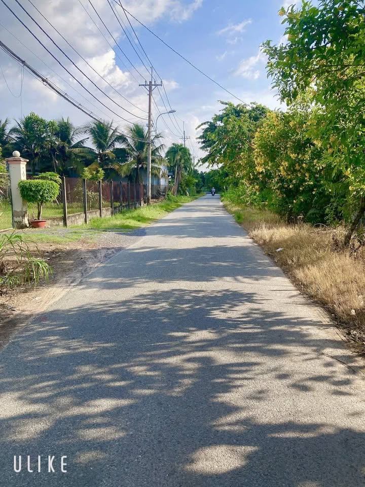 Đất thổ cư xã Thái Mỹ, Củ Chi 487m² - Vị trí đắc địa gần chợ