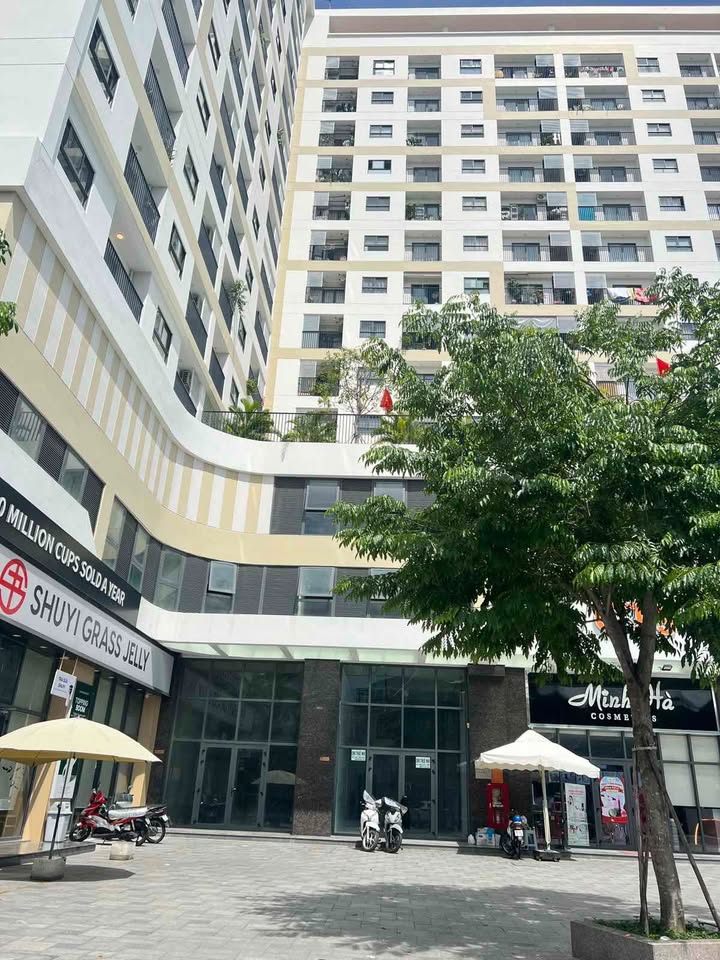 Shophouse cho thuê tại CT9 Vĩnh Điềm Trung 90m² - Mặt tiền rộng gần 5,6m, chỉ 25 triệu/tháng!