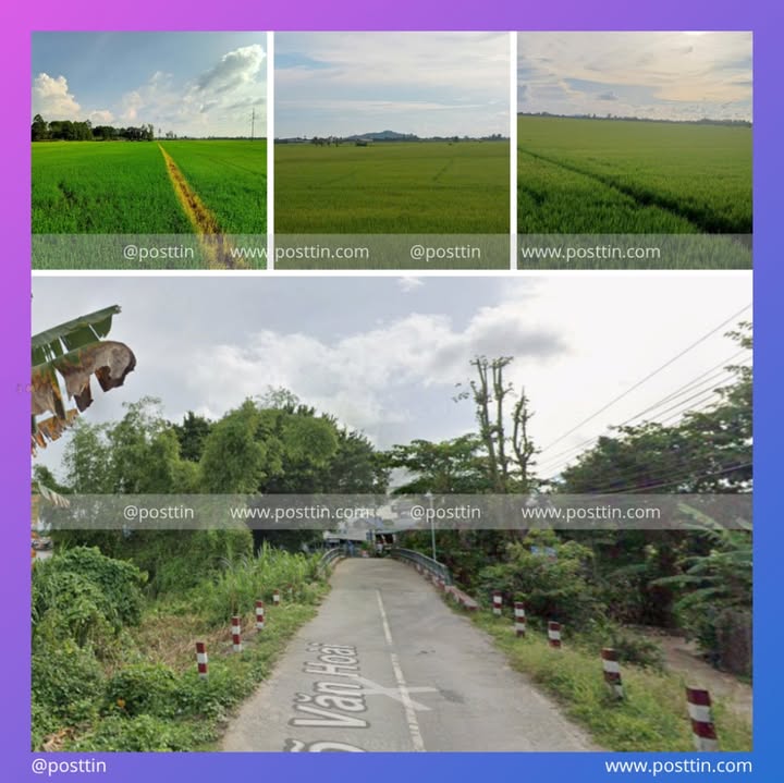 Đất nông nghiệp 4.860m² Vĩnh Thành - An Giang giá 972 triệu - Cơ hội đầu tư hấp dẫn!