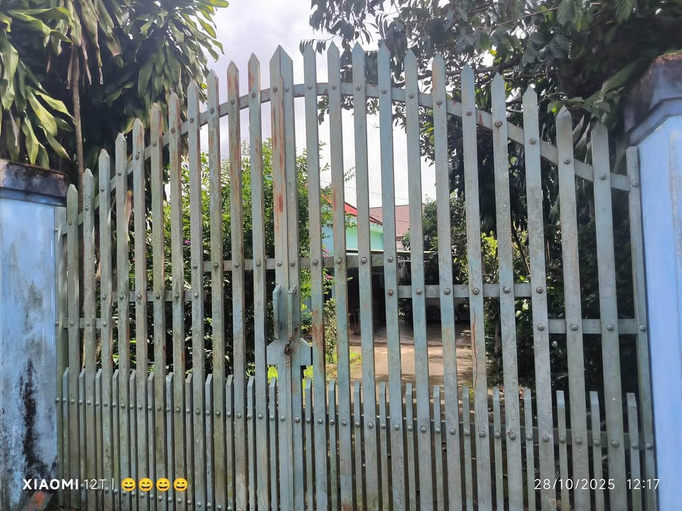 Đất nền Bảo Lộc 540m² giá 5.4 tỷ - Đầu tư sinh lời hấp dẫn!