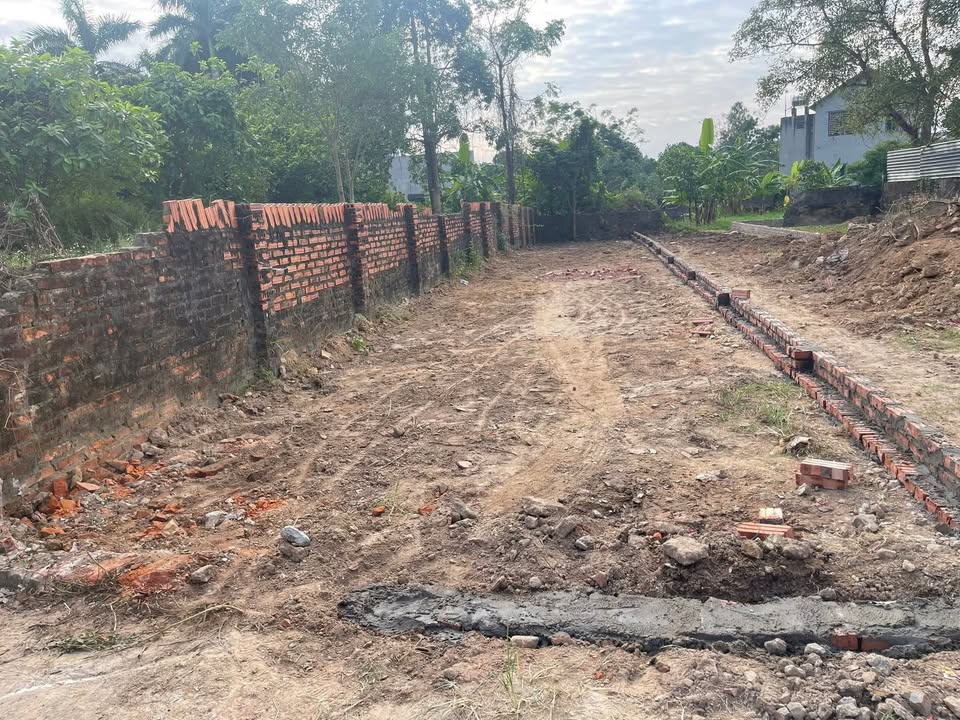 Đất thổ cư 133m² tại Thôn Thái Lai, Sóc Sơn chỉ 1.33 tỷ - Sổ đỏ chính chủ!