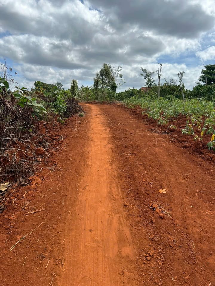 Đất nền Cư M'gar Đắk Lắk 1000m² giá chỉ 199 triệu - Cơ hội đầu tư tuyệt vời!