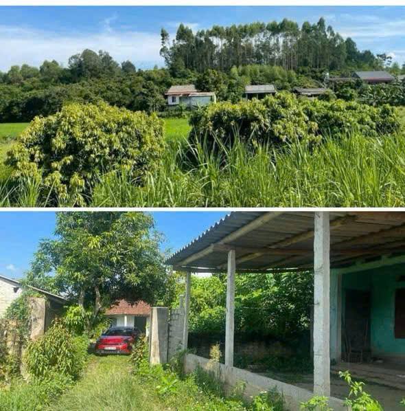 Đất thổ cư 300m² tại Đồng Kỳ, Yên Thế 846.8m² - Giá chỉ 1 tỷ!