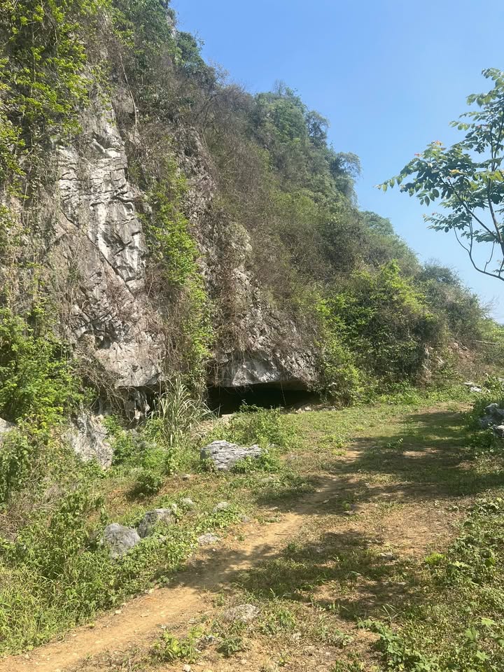 Đất nền 4112m² tại Ba Hàng Đồi, Lạc Thủy chỉ 2.5 tỷ - Cơ hội đầu tư tuyệt vời!