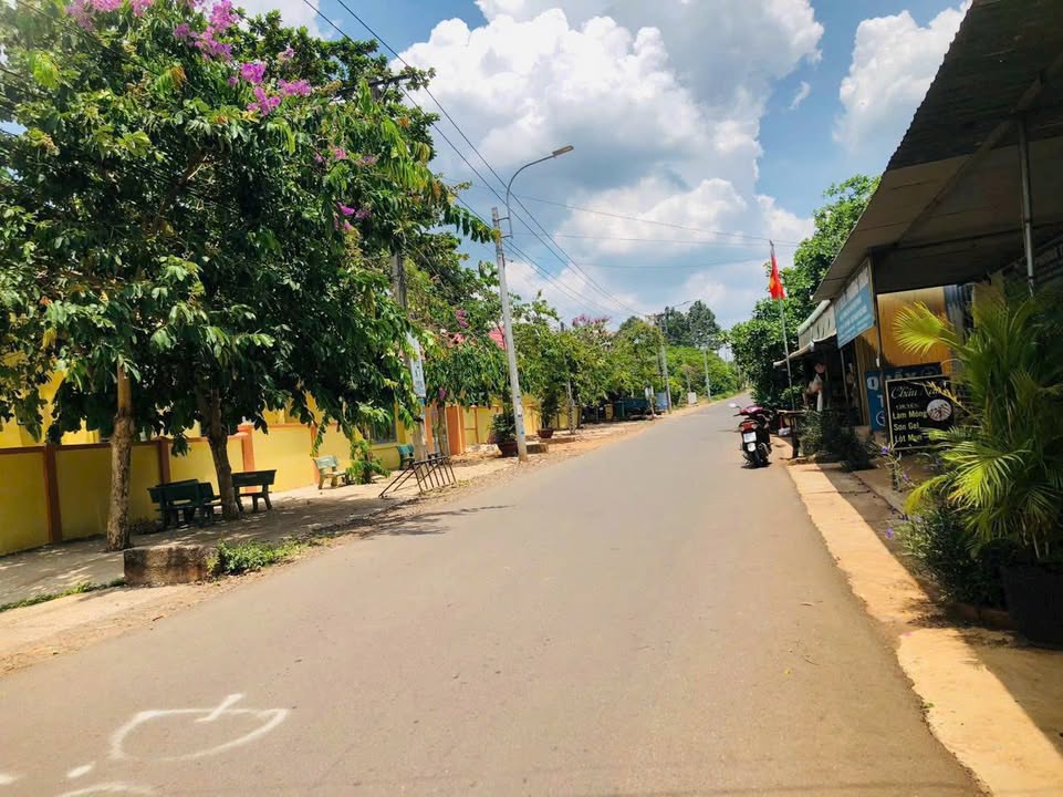 Đất nền mặt nhựa Hàng Gòn 150m² giá 1.25 tỷ - Vị trí đắc địa sát trường học!