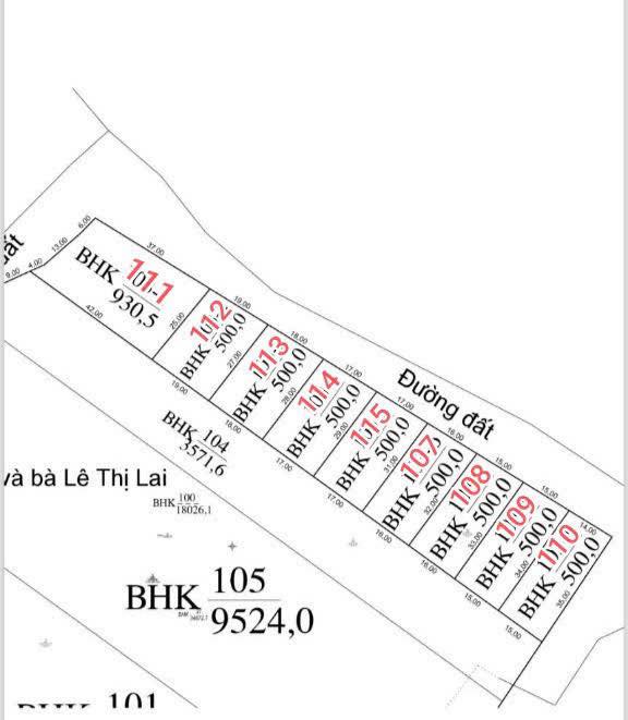 Đất nền Tân Mỹ, Ninh Xuân 500m² chỉ 119 triệu - Cơ hội đầu tư sinh lời!