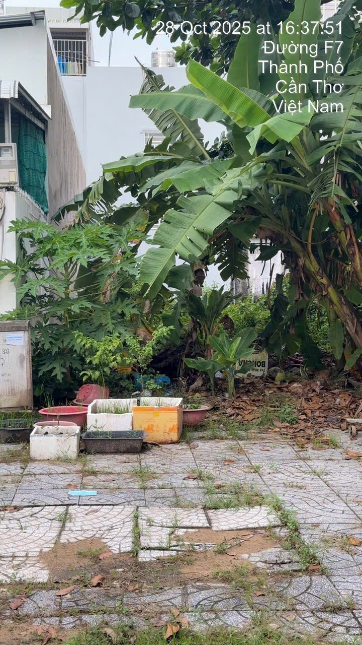 Đất nền Khu Dân cư Bình Nhựt, Cần Thơ - 100m² chỉ 2.5 tỷ, sát Aeon Mall!