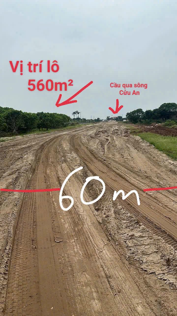 Đất nền 560m² Tân Phúc Võng Phan, Hạ Lễ, Ân Thi - Cơ hội đầu tư sinh lời cao!