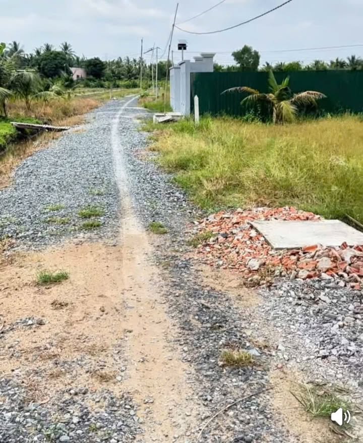 Đất vườn 500m² tại Ấp 1, Bến Lức - Giá 1.2 tỷ - Đường ô tô vào tận nơi!