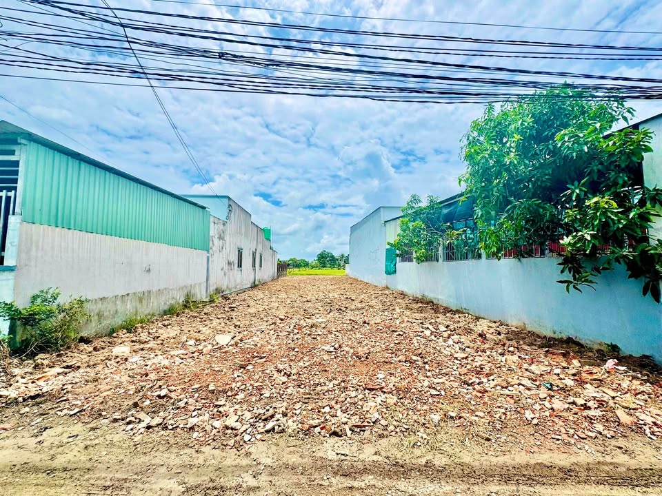 Đất thổ cư 450m² tại Mỹ Hạnh, Đức Hòa, giá 3.5 tỷ - Đầu tư sinh lời!